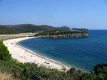 Another beautiful beach of Sithonia