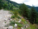 One of the great off-road tracks in the Rodopi Mountains
