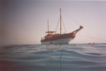 the boat "highlight"
