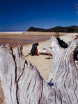 abel_tasman1