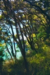 abel_tasman4