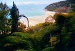 abel_tasman5