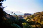 abel_tasman6