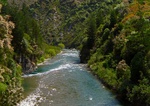 towards_taihape